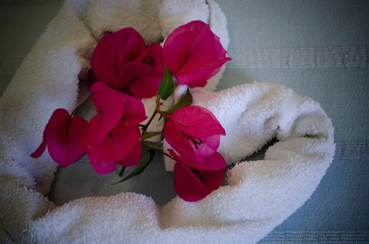 Hotel Angelino Barano d'Ischia ภายนอก รูปภาพ