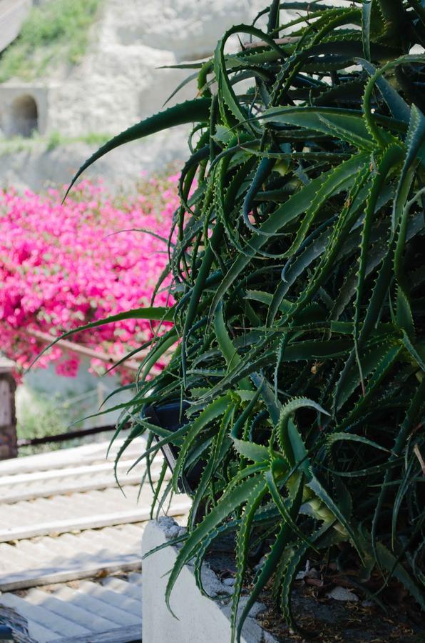 Hotel Angelino Barano d'Ischia ภายนอก รูปภาพ